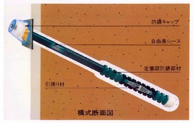 模式断面図