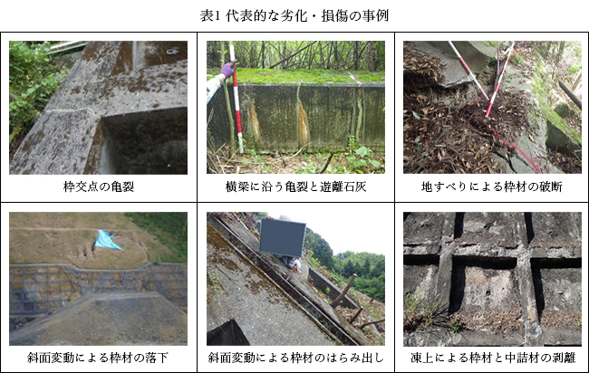 表1 代表的な劣化・損傷の事例