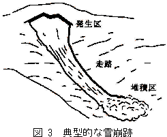 図3 典型的な雪崩跡