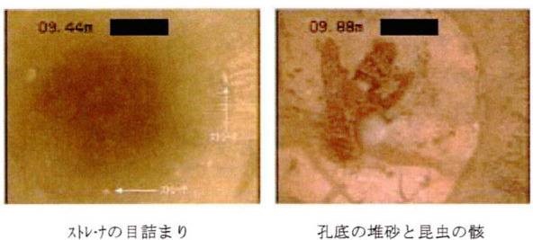 ストレーナの目詰まり・孔底の堆砂と昆虫の骸