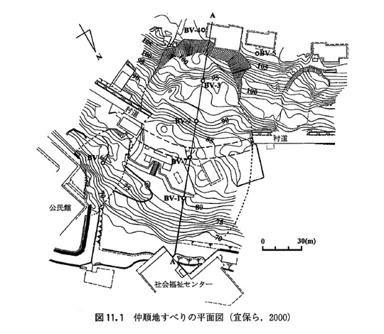 図11.1 仲順地すべりの平面図